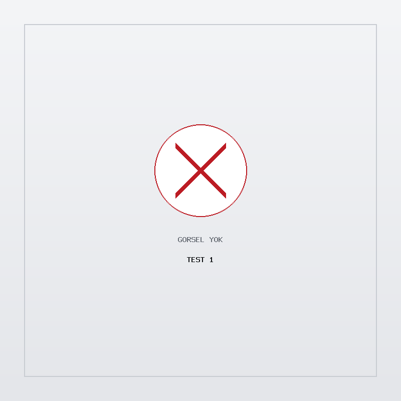Test 1 — Görsel yok